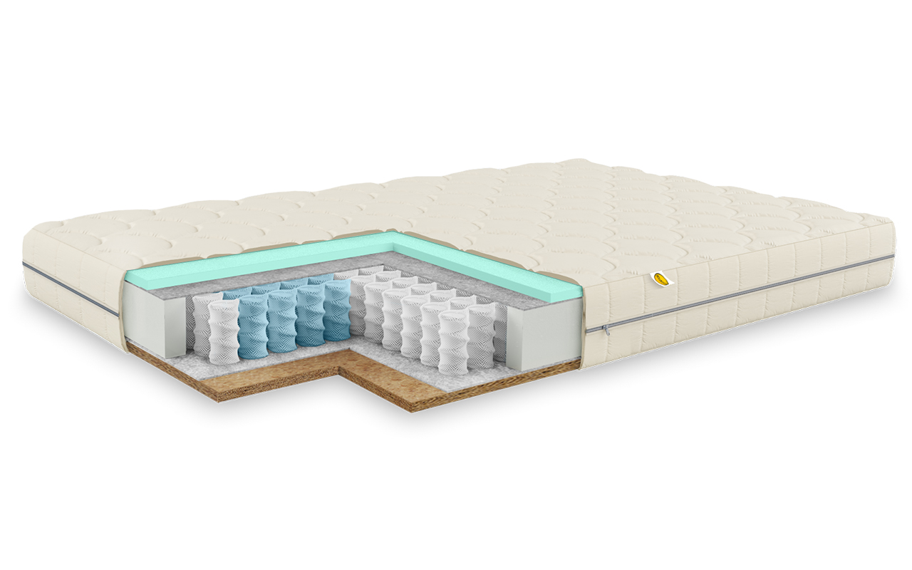 Benartti Baby Orto Kombi TFK